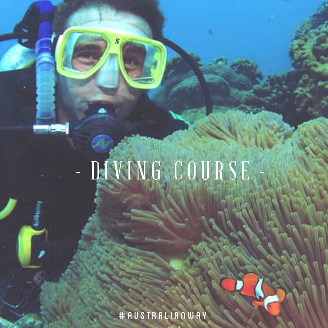 diving course, curso submarinismo australia, estudiar en australia, australian way, trabajar en australia