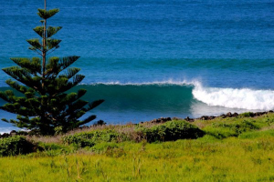 Lennox-Head-surfing-spot-image-North-Coast-NSW-Australia-4-600x400
